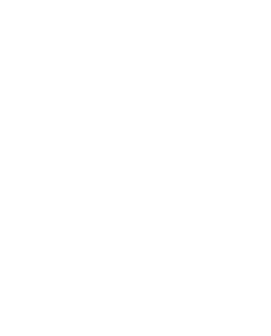 CAREC Solutions Limited